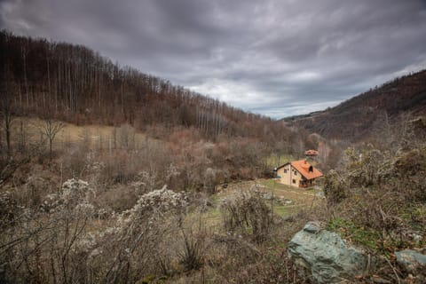 Vila Nada Bed and Breakfast in Serbia