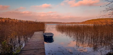 Natural landscape