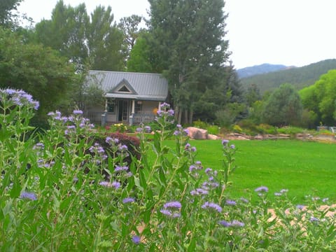 Garden, Garden