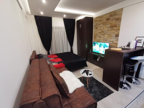 Living room, Photo of the whole room, Seating area