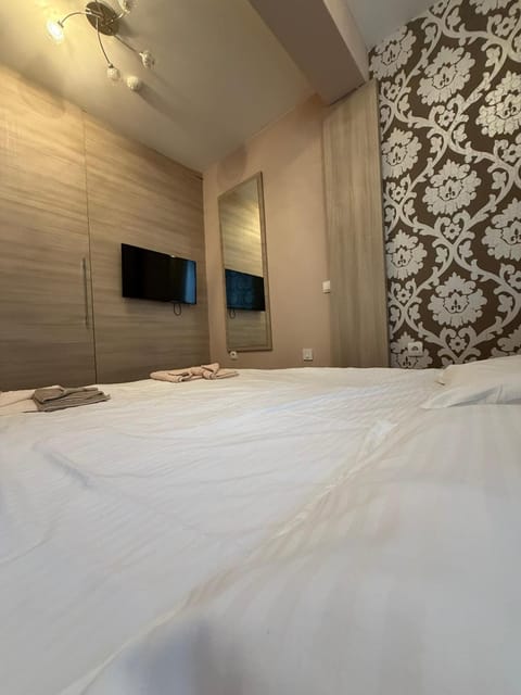 Mujen Lux Tutic - Free Spa & Wellness Apartment in Serbia