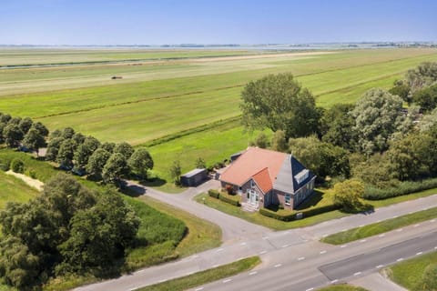 Bird's eye view, Other