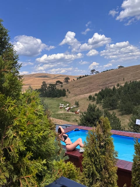 Zlatibor Wild nest Rabbit Lux House in Zlatibor