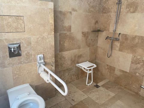 Shower, Toilet, Bathroom, Facility for disabled guests
