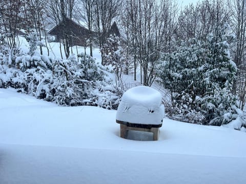 Chalet Gaby - chalet atypique avec SPA Chalet in Xonrupt-Longemer