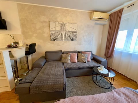 Living room, Photo of the whole room, Seating area, Evening entertainment, air conditioner