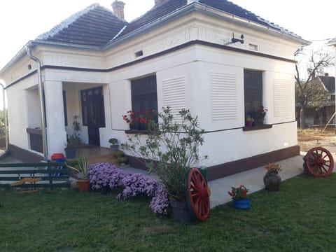 Property building, Garden, Garden view