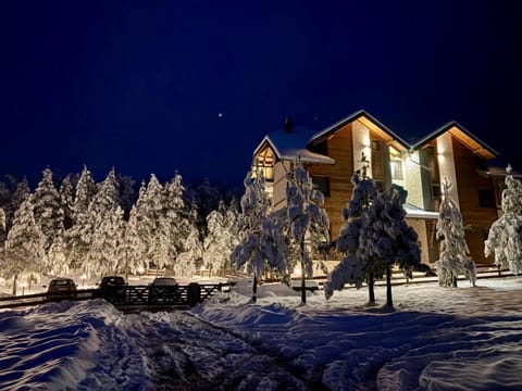 Property building, Natural landscape, Winter