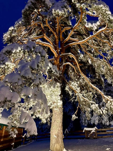 Night, Natural landscape, Winter