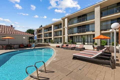 Pool view, Swimming pool, Swimming pool, sunbed