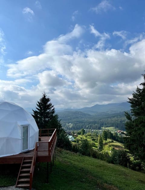 Natural landscape, Mountain view, Family