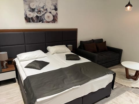 Apart Hotel & spa Zoned II, Kopaonik, apartman Lukač - special benifit Children up to 17 of age accompanied by two adutls staj for free! FREE PARKING! Apartment in Serbia