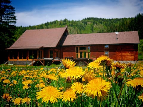 Property view