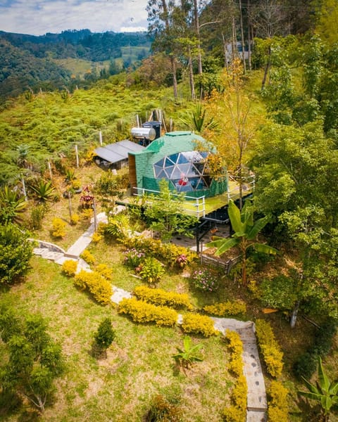 Natural landscape, Garden view, Mountain view
