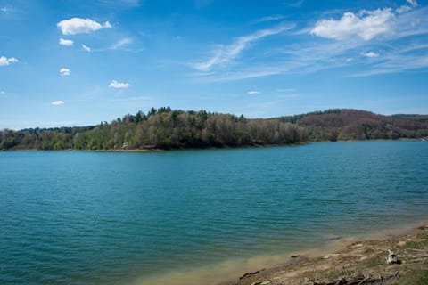 Lake view