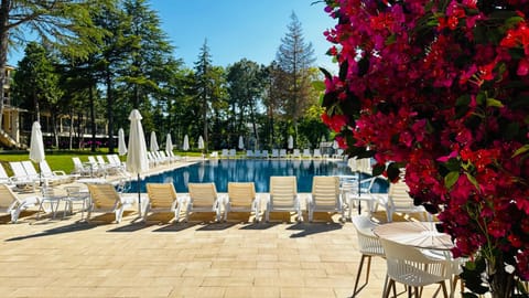 Garden, Pool view