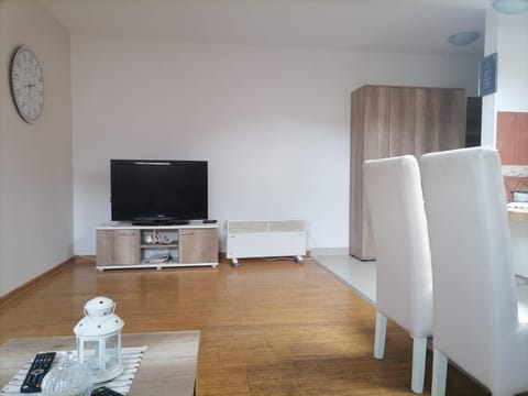 Apartman Savic Apartment in Serbia