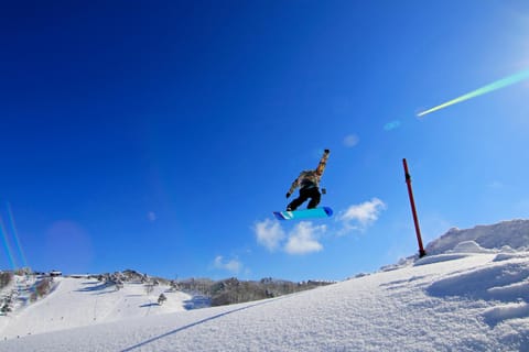Activities, Winter, Skiing