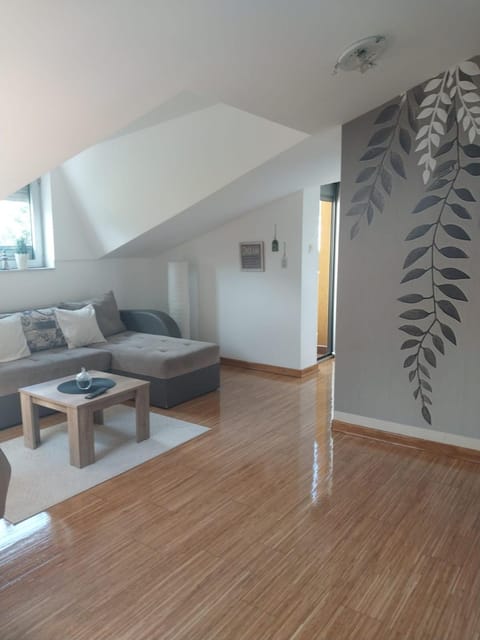 Apartman Savic Apartment in Serbia