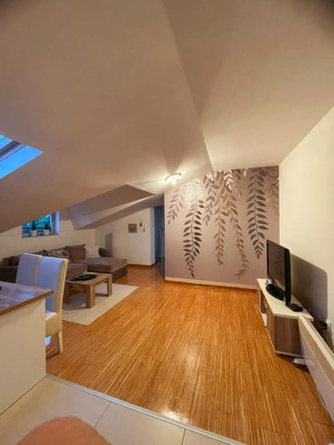 Apartman Savic Apartment in Serbia