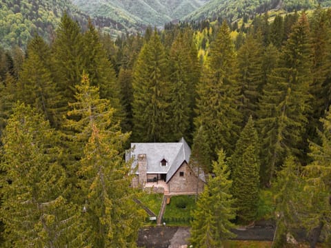 Natural landscape, Mountain view