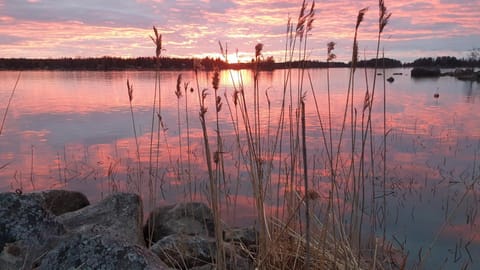 Summer, Sea view, Sunset