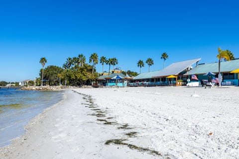 Come Stay Where the Dolphins Play! Apartment in Ruskin