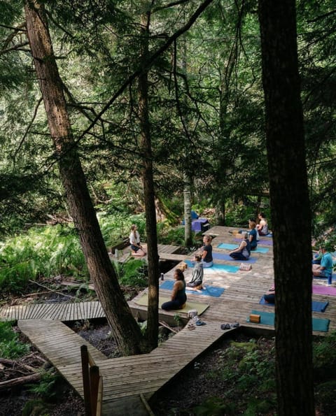 People, Activities, Fitness centre/facilities, group of guests
