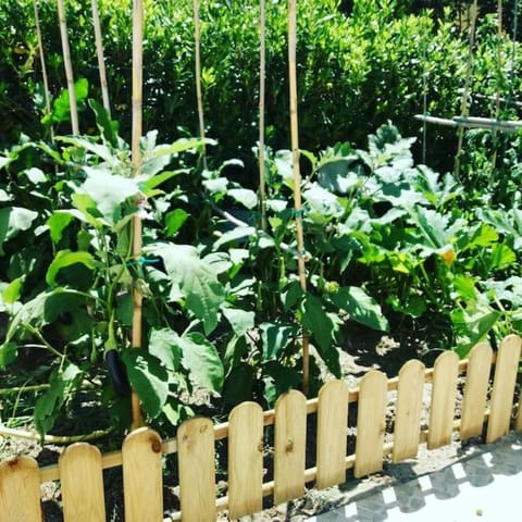 Casa Vacanza M&C Ischia House in Forio