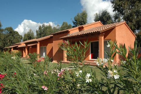 Patio, Natural landscape, Garden, Other