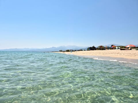 Natural landscape, Summer, Beach