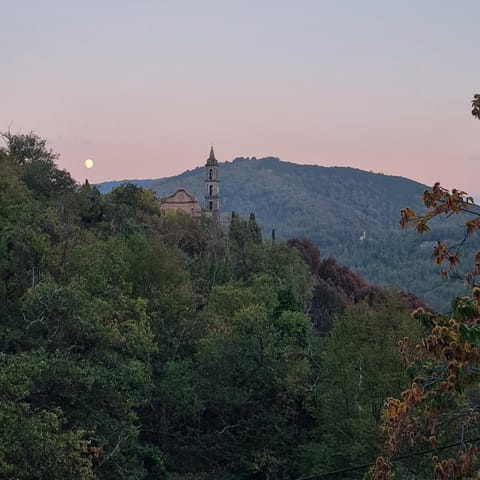 Mountain view