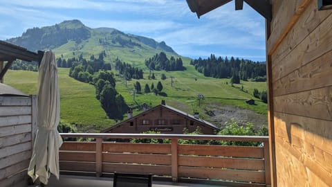 Les Chalets de l'Adret Apartment in Le Grand-Bornand
