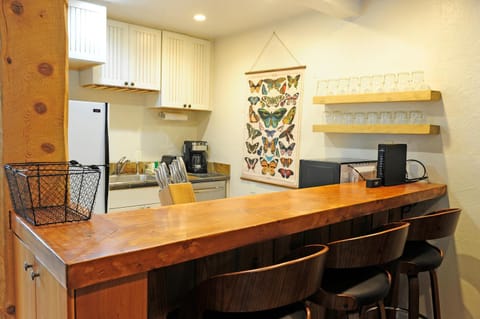 Andora Villa Condo 109 House in Ketchum