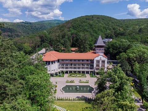 Natural landscape, Bird's eye view