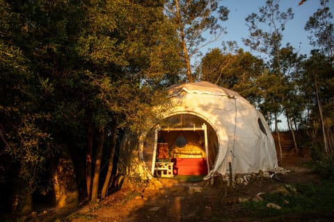 Forest Harmony Farm Stay in Eastern Cape