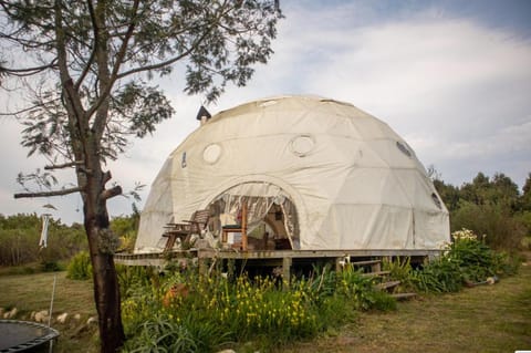 Forest Harmony Farm Stay in Eastern Cape