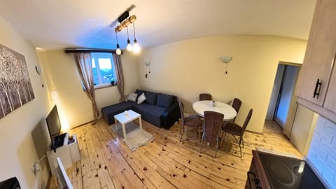 Ski-in & Ski-out, Apartman Filip - 30m from GONDOLA Brzeće Apartment in Serbia