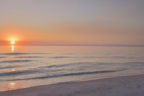 You Only Live Once House in Saint Armands Key