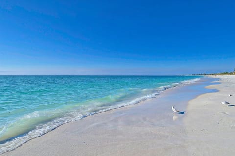 You Only Live Once House in Saint Armands Key