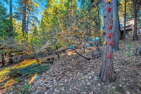 Cabin In The Woods Cabin in Arnold