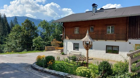 Property building, Summer, Garden