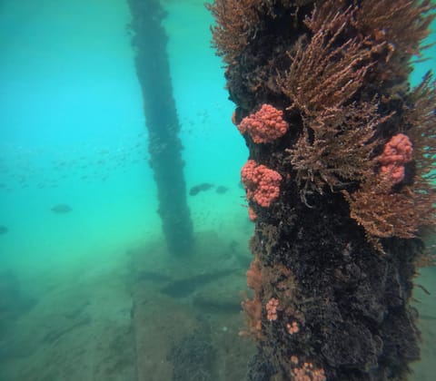 Natural landscape, Activities