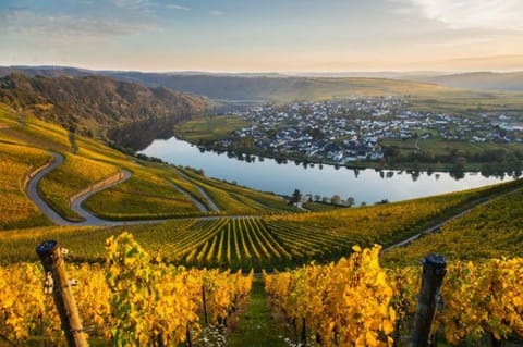Ferienwohnung Moselnest Apartment in Trier-Saarburg