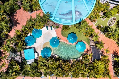 Day, Bird's eye view, Garden, Garden view, Pool view, Swimming pool, sunbed