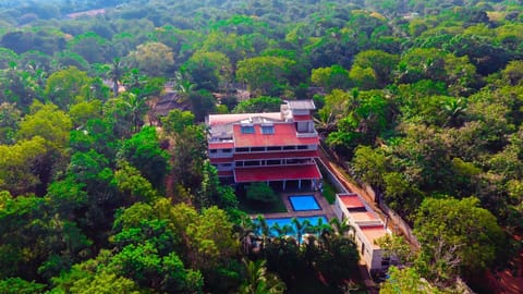 Bird's eye view, Garden view