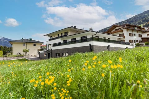 Apart Painting Apartment in Uderns