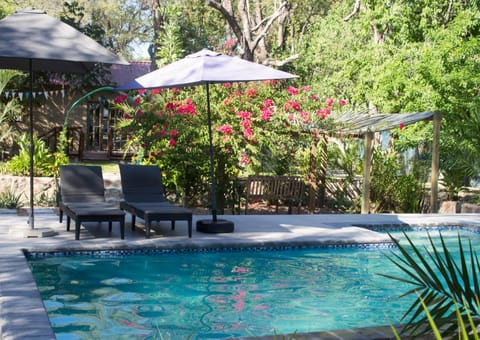 Garden, Garden view, Swimming pool