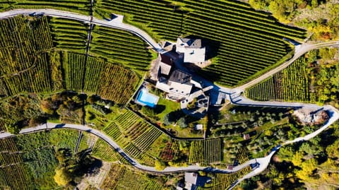 VILLA DEL LUPO: Crown of The Valtellina Villa in Province of Brescia