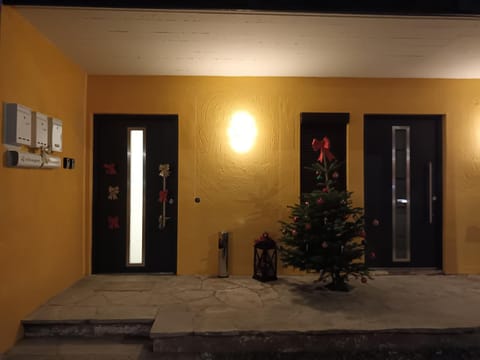 Ferienwohnung Rainer Apartment in Salzburgerland